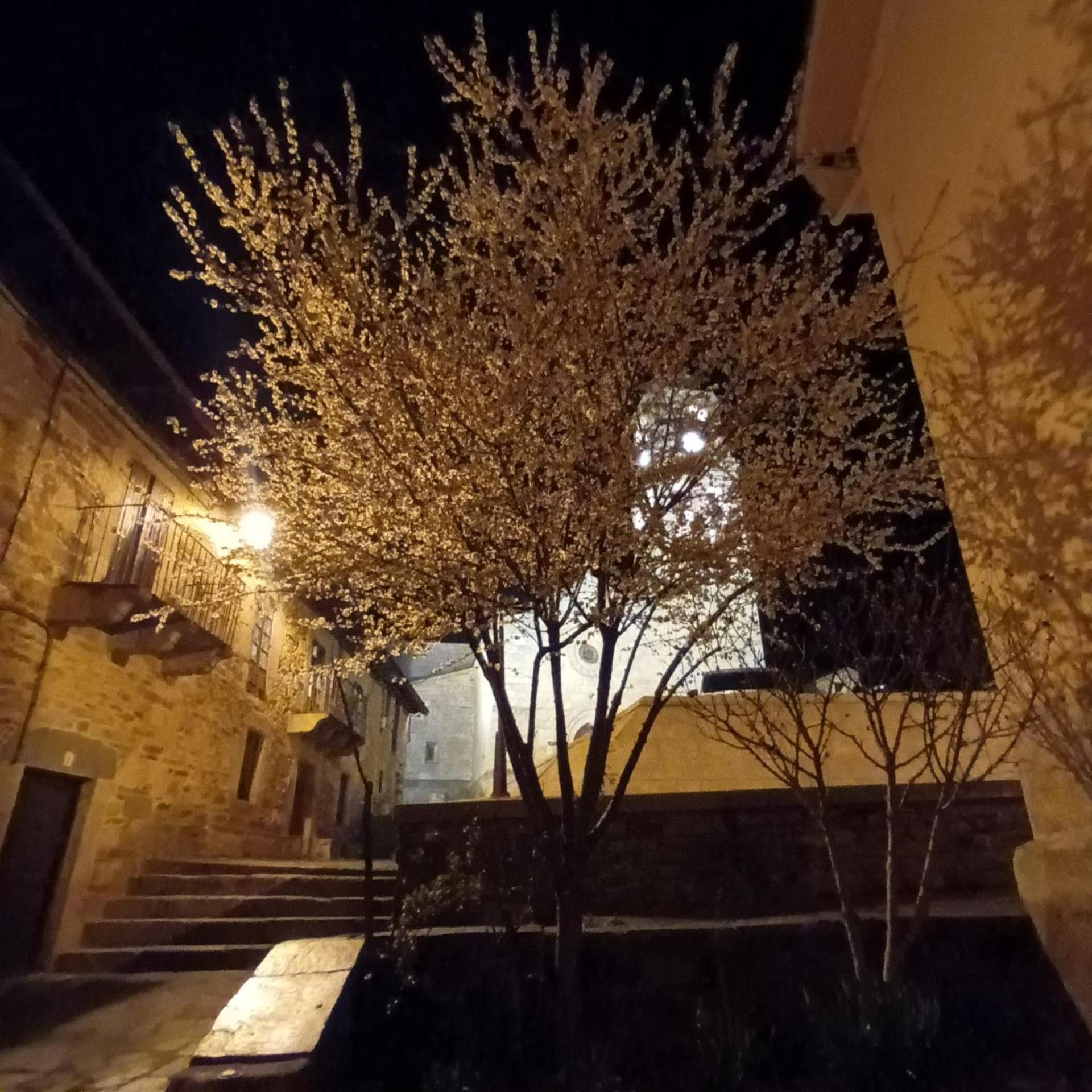 La Artesonada Casa Con Finca Villa Puebla de Sanabria Buitenkant foto